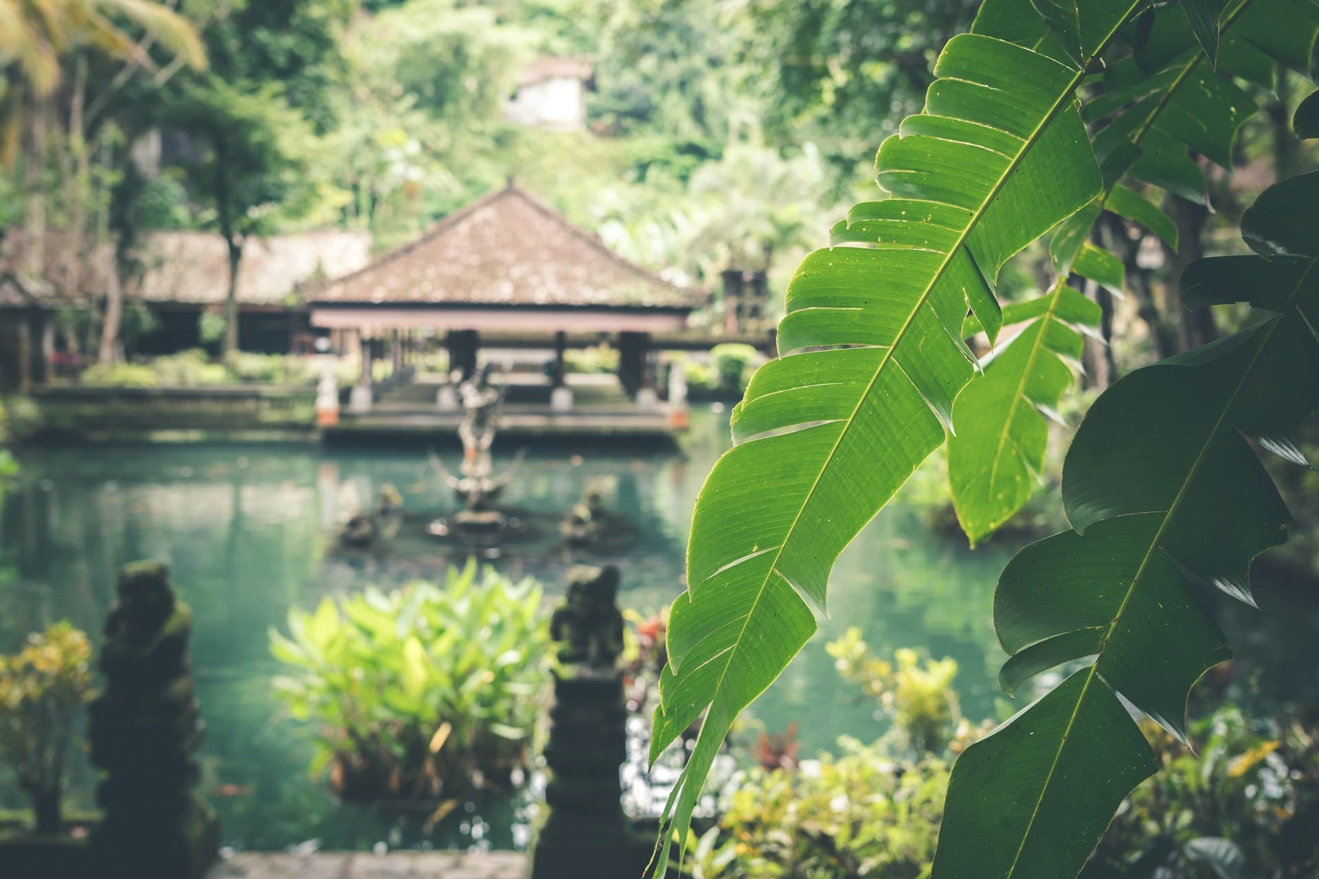 Bali — Parajsa e Muajit të Mjaltit 4