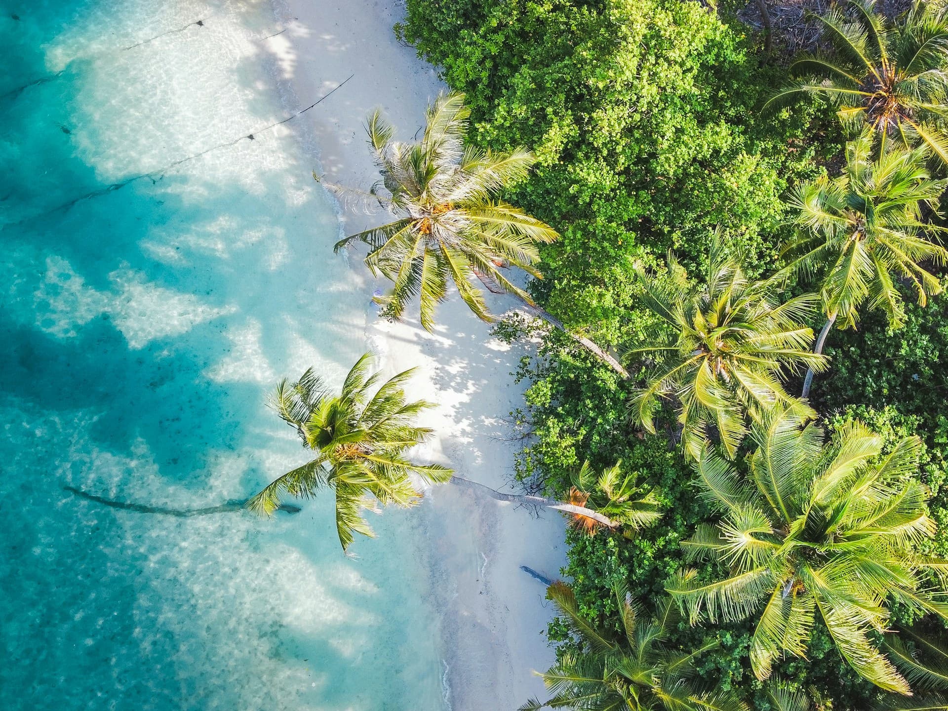 Maldive — Luksozi Suprem 3