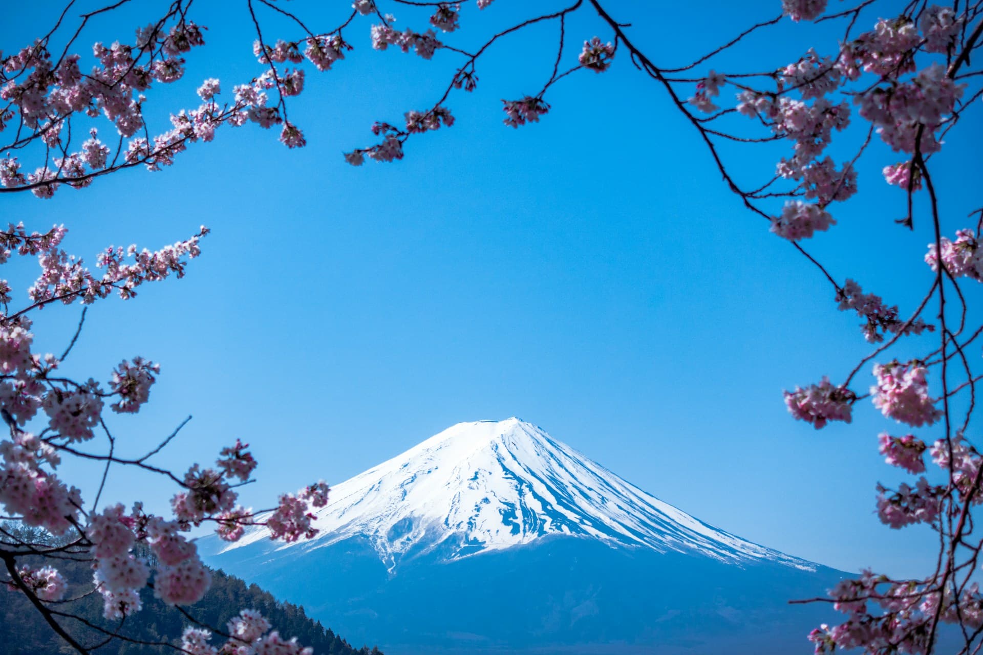 Tokyo — Japonia e Panjohur 3