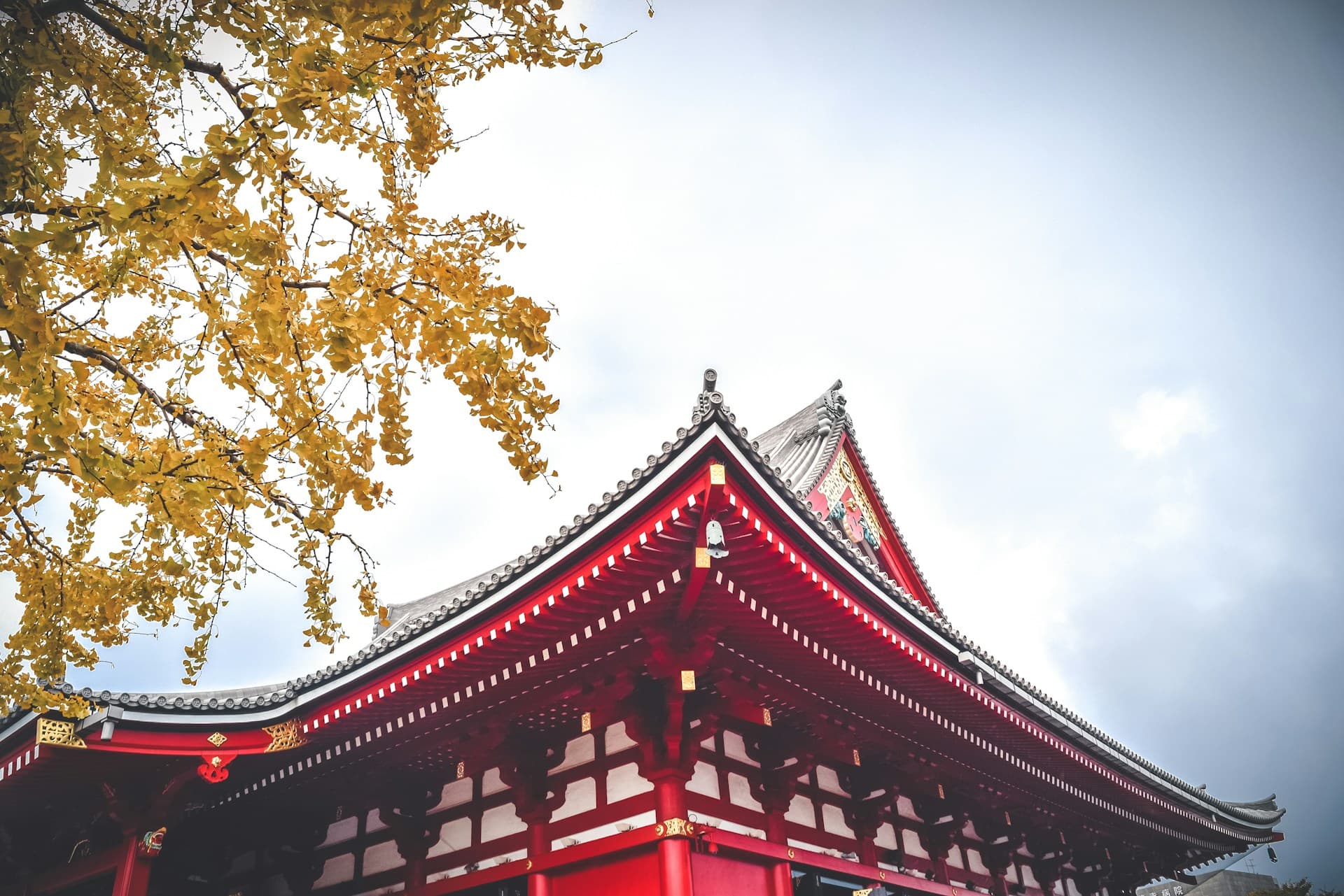 Tokyo — Japonia e Panjohur 4